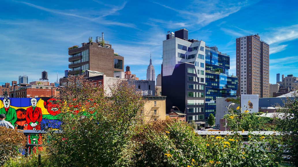 the new york high line with old and new buildings and vegetation